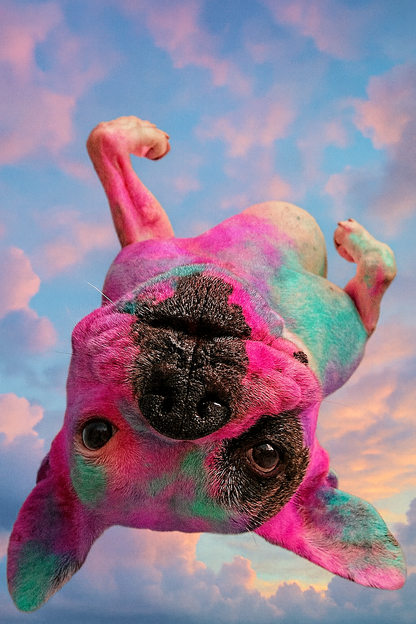 Custom Pet Puzzle - Your Pet, Turned Into a Star - 300 Pieces